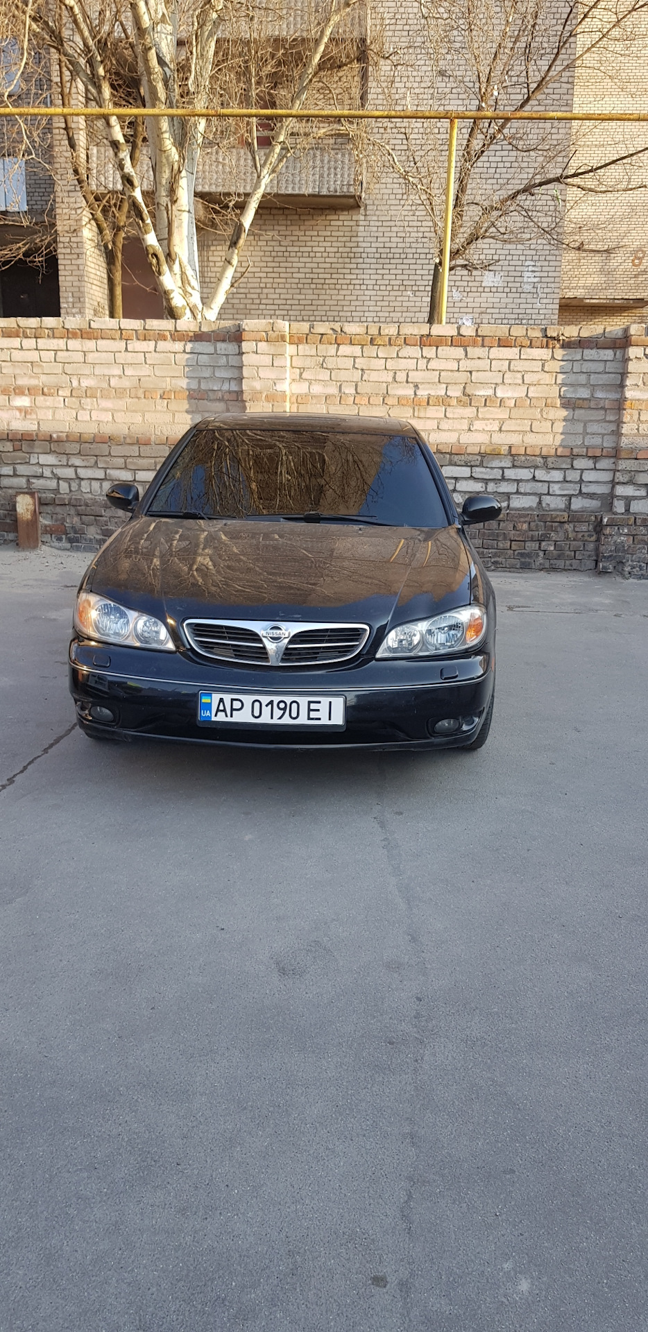 Затонировал лобовик 4