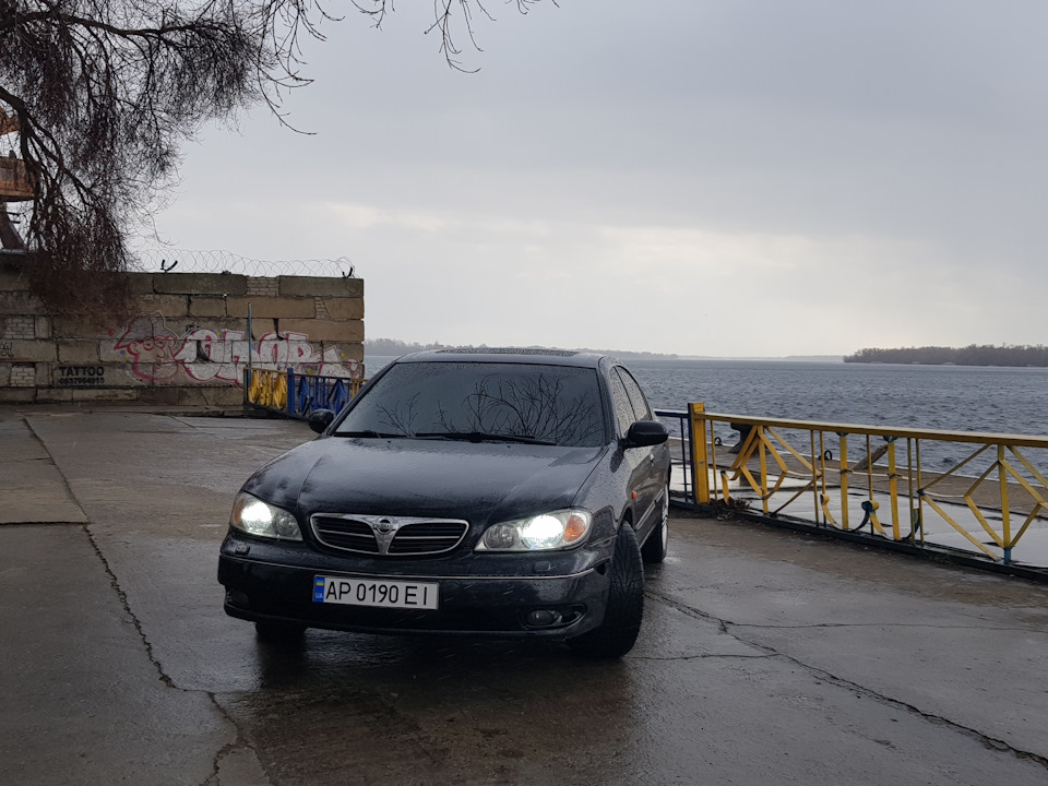 Затонировал лобовик 1