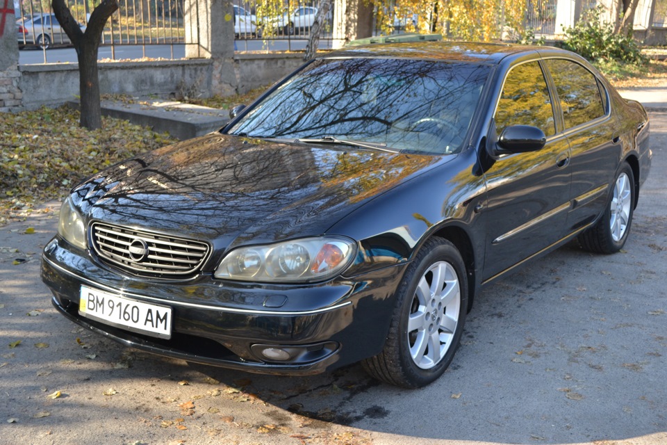 Продаю свого друга. 1