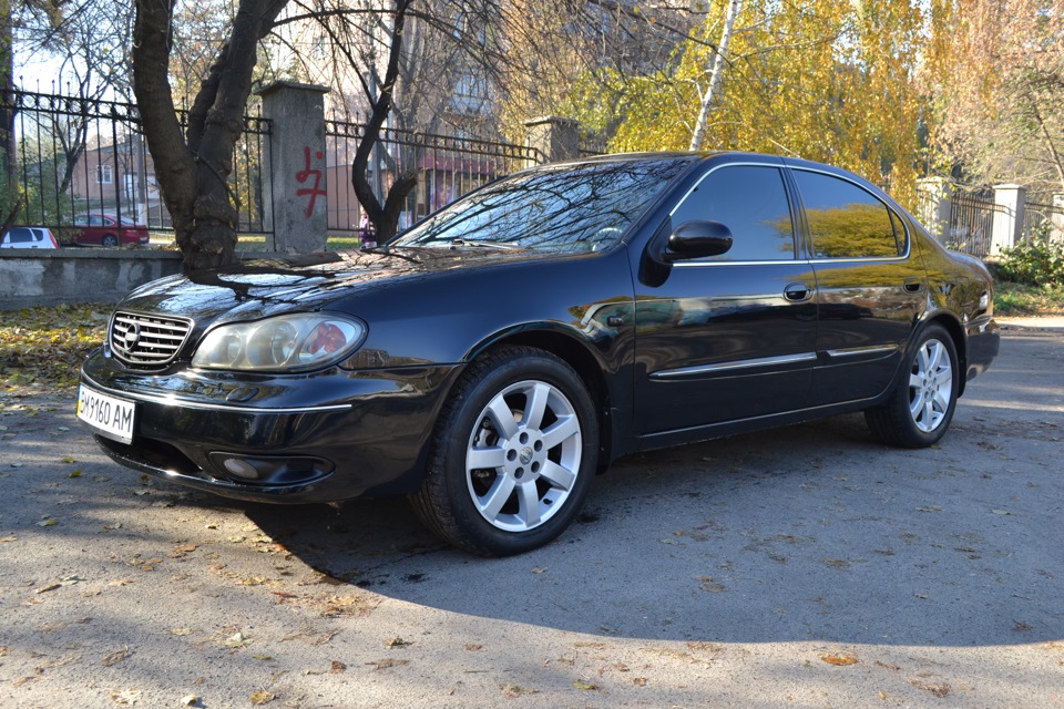 Продаю свого друга. 2
