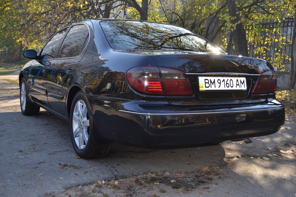Продаю свого друга. 3