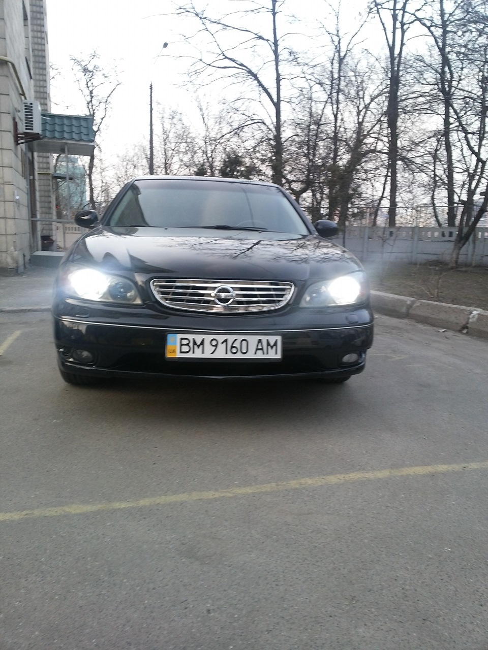 Встановив ксенон 1