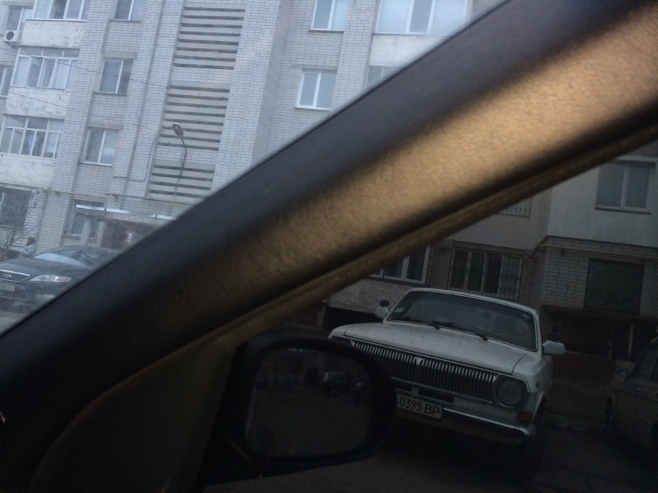 Стеля зі шкіри 1