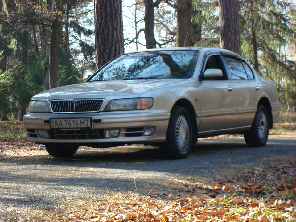 пару фото в лісі 1