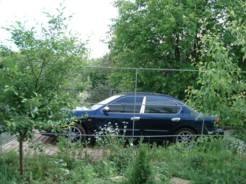 Пара спонтанних фото
