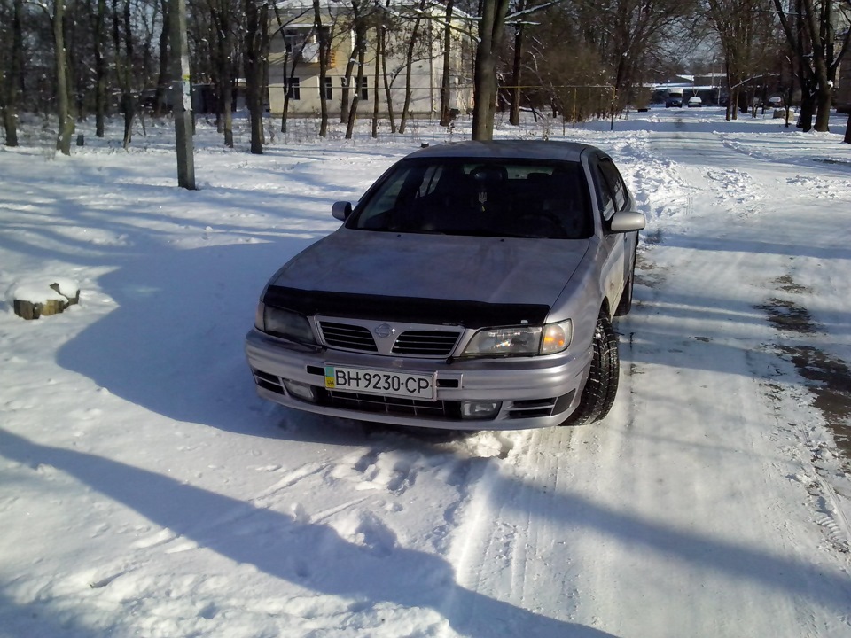 Сніг, який не дійшов... 2