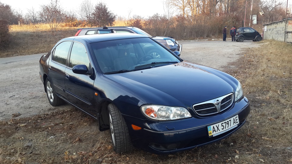 Продаж ластівки! 3