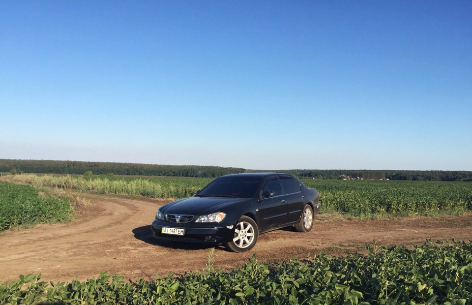 Максима в полі… 5