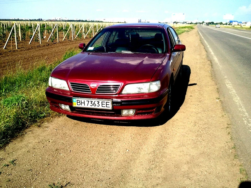 Літо)Фотки)