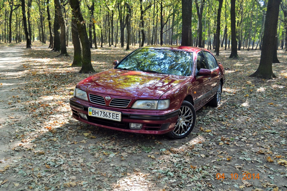 Осіння прогулянка ч.2 1
