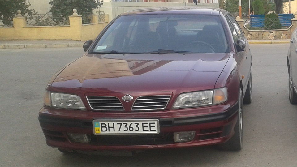 пару фоток 5
