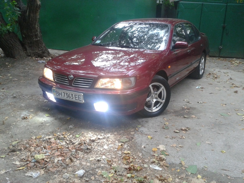 пару фоток 1