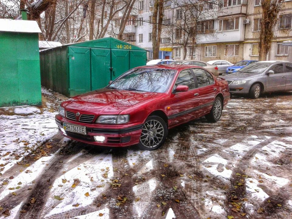зимівля 1