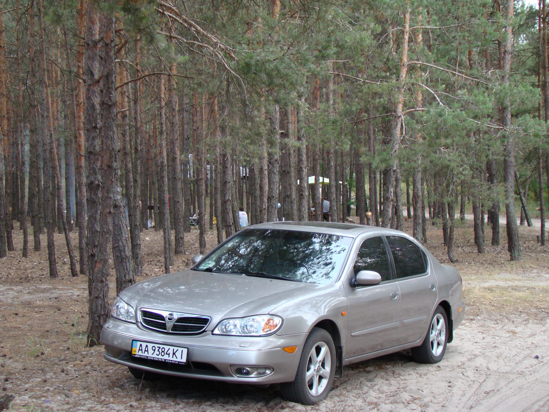 Київське море та Кава 1