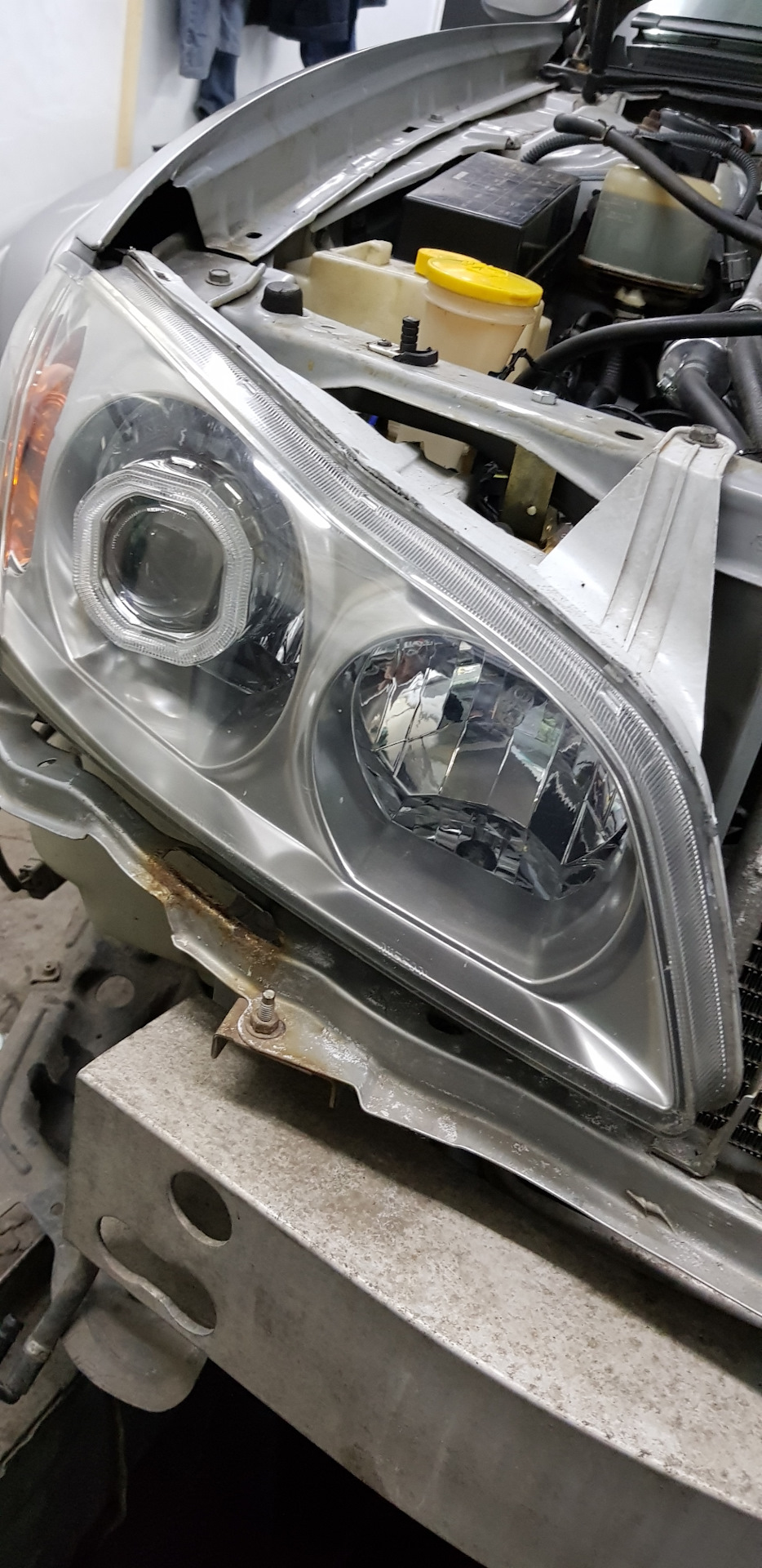 Лінзи у фари Nissan Maksima 5