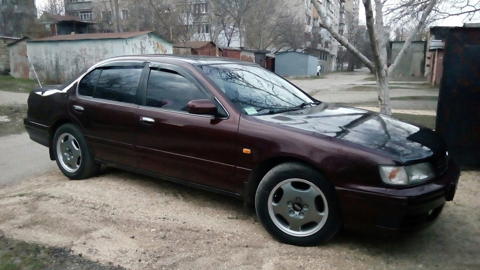 Весна прийшла, час одягати літні тапки.) 1