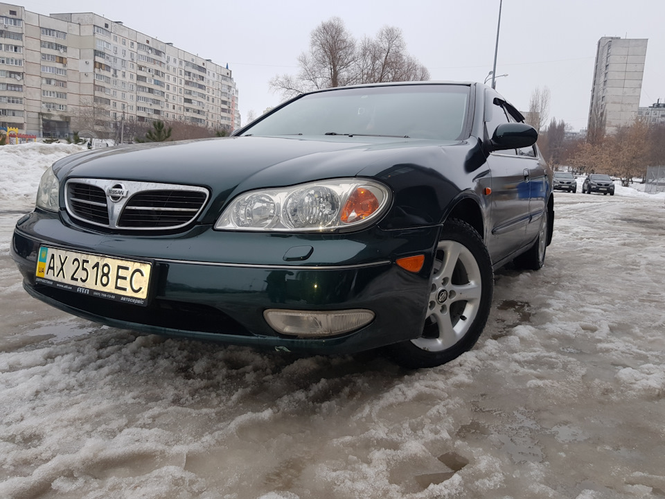 + Нові фотки… 2