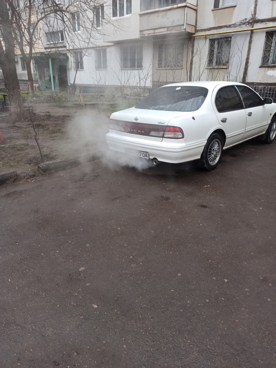 Димит 1