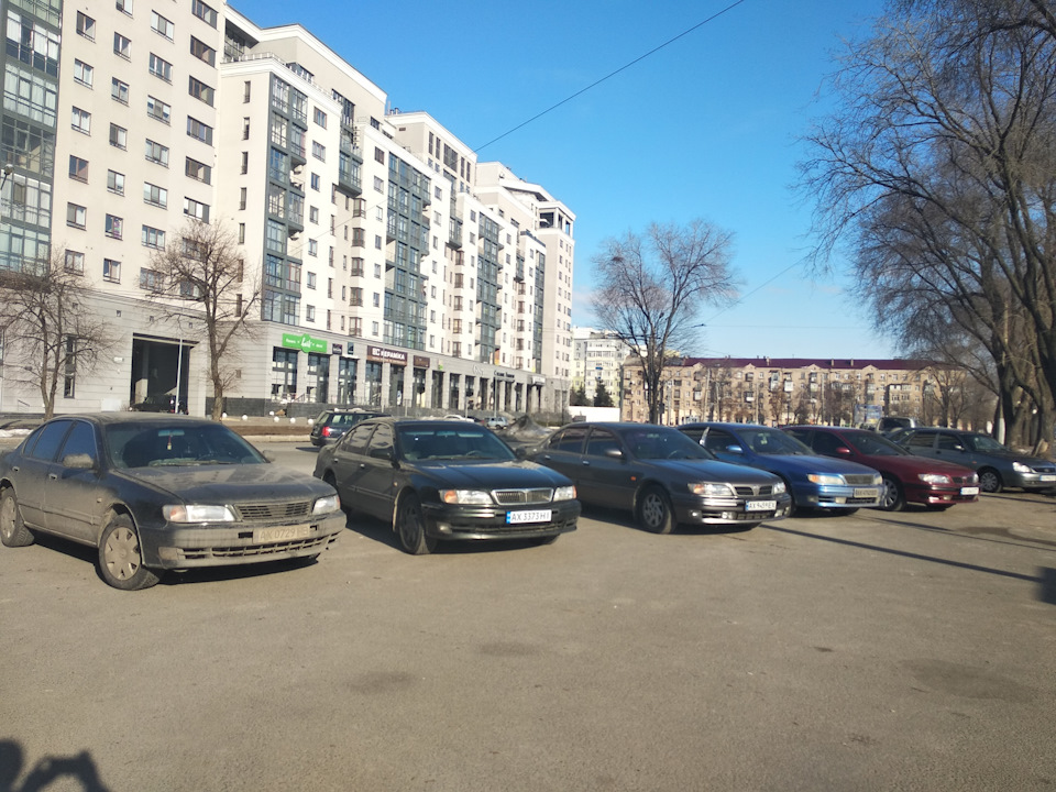 Чергова зустріч Максимоводів 3