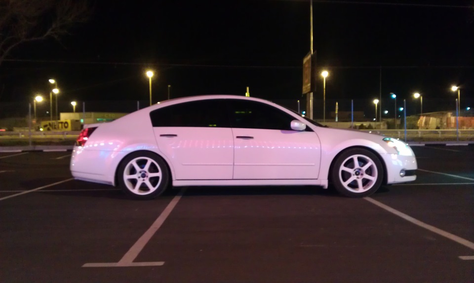 TEIN S TECH LOWERING SPRINGS 2