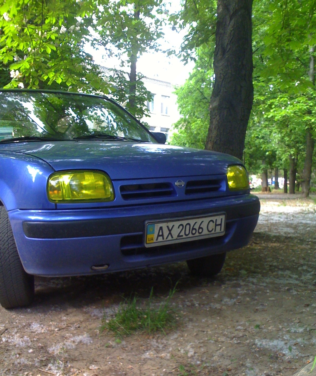 Пленка 3