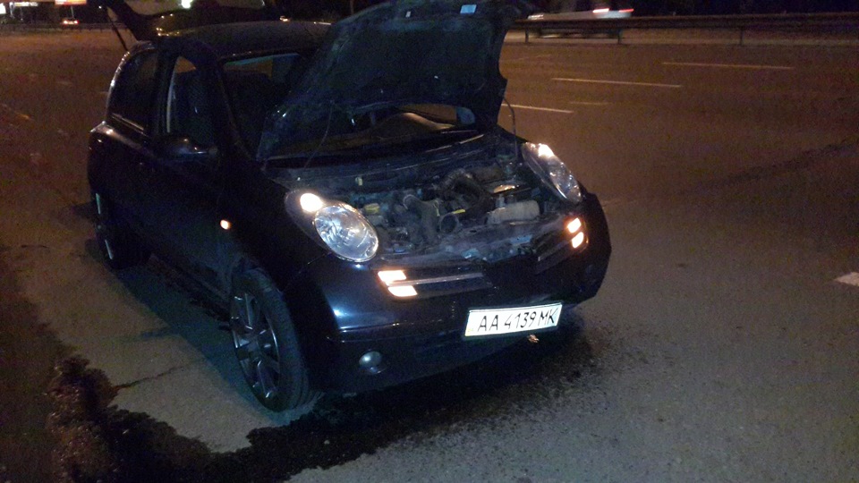 Nissan Micra vs Собака перебігака 4