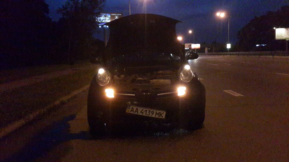 Nissan Micra vs Собака перебігака 1