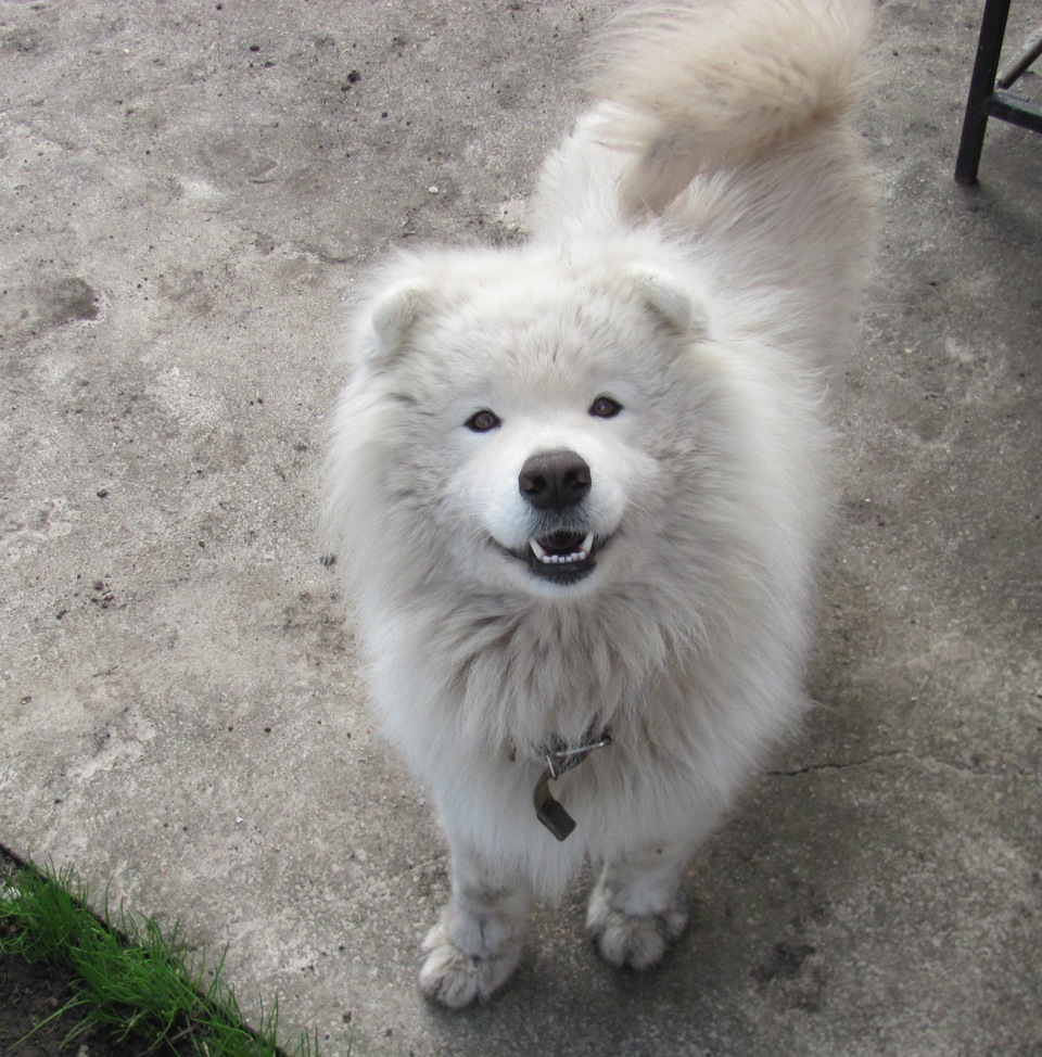 заміна радіатора охолодження та кондиціонера 1
