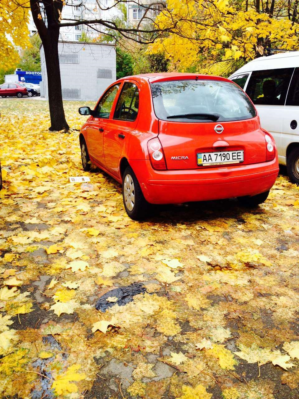 Micra и Осень 2