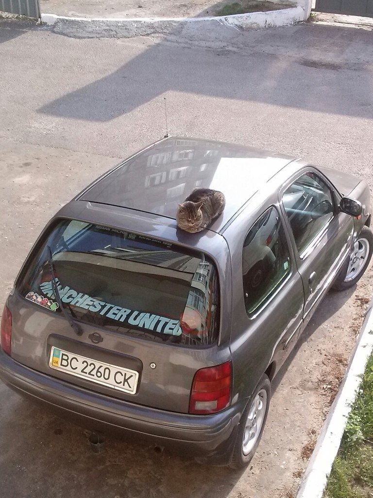 Підбиваємо підсумки!) І казка про страховку та аварію! 1