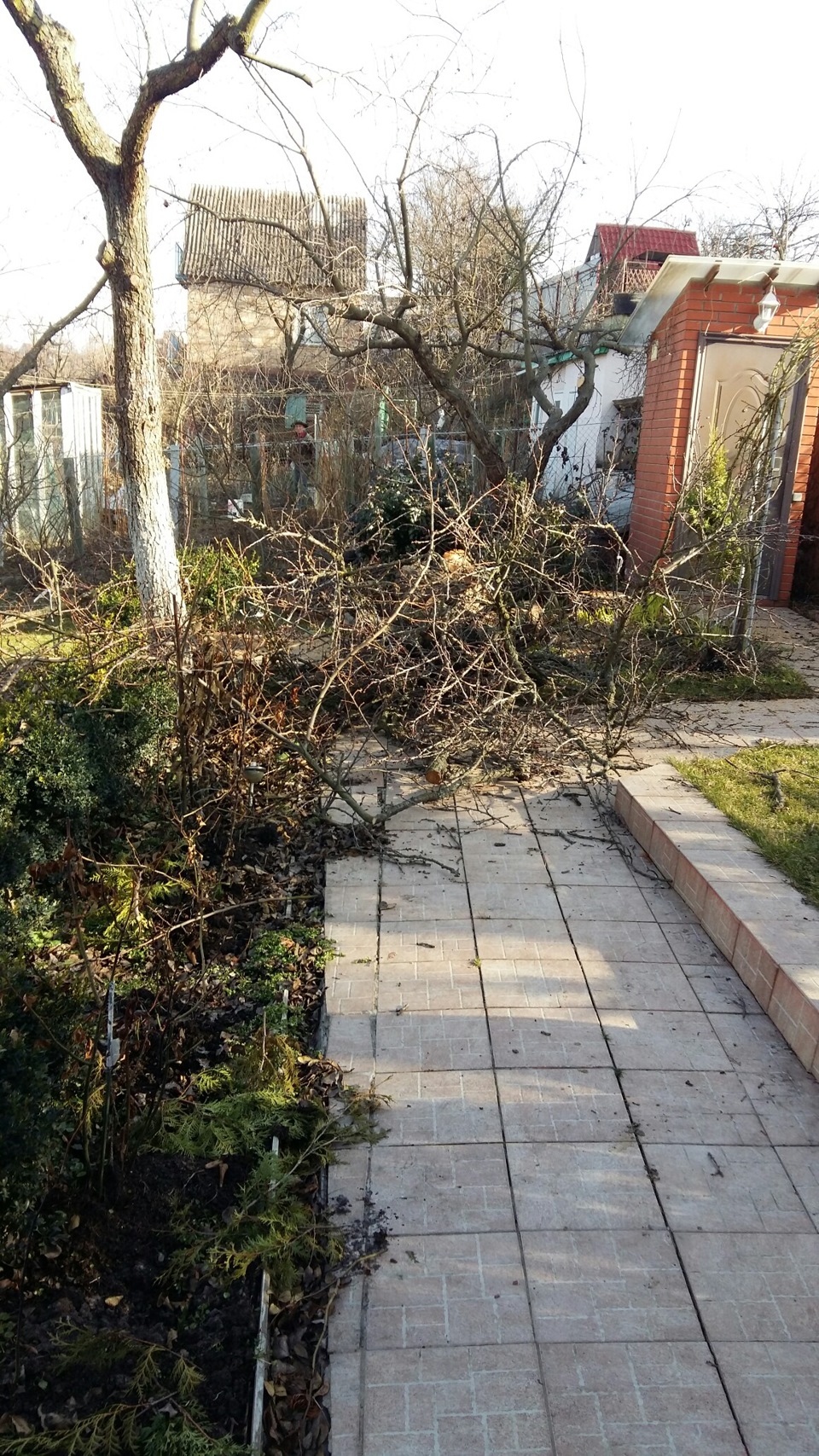 Неділя 2