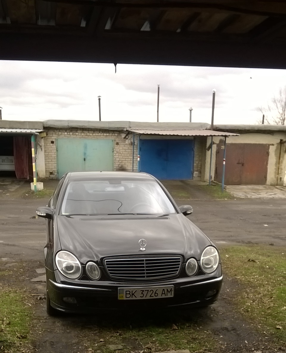 Наслідки зими. 2
