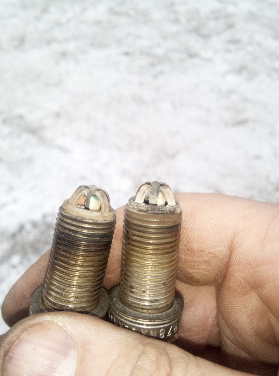 >LZLM! T 1