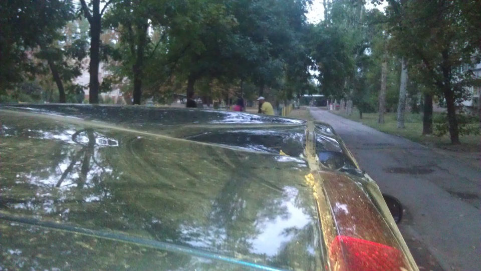 Незапланований тюнінг мого єнота)) 2