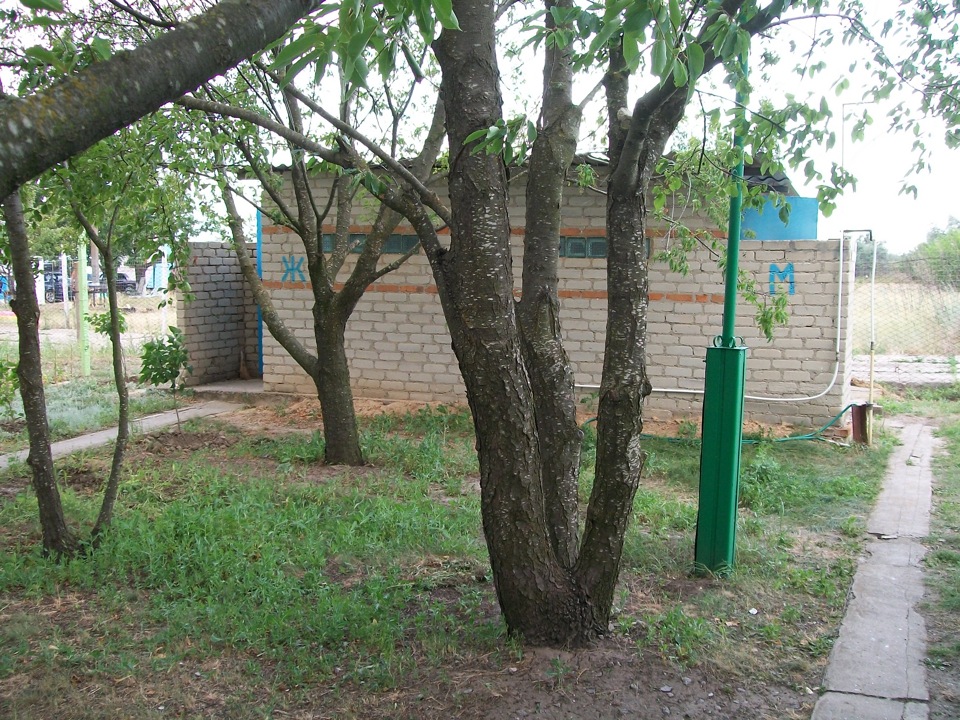Київ-Одеса-Чорне море 5