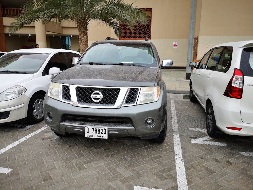 Пафіки в UAE (Арабські Емірати) 3