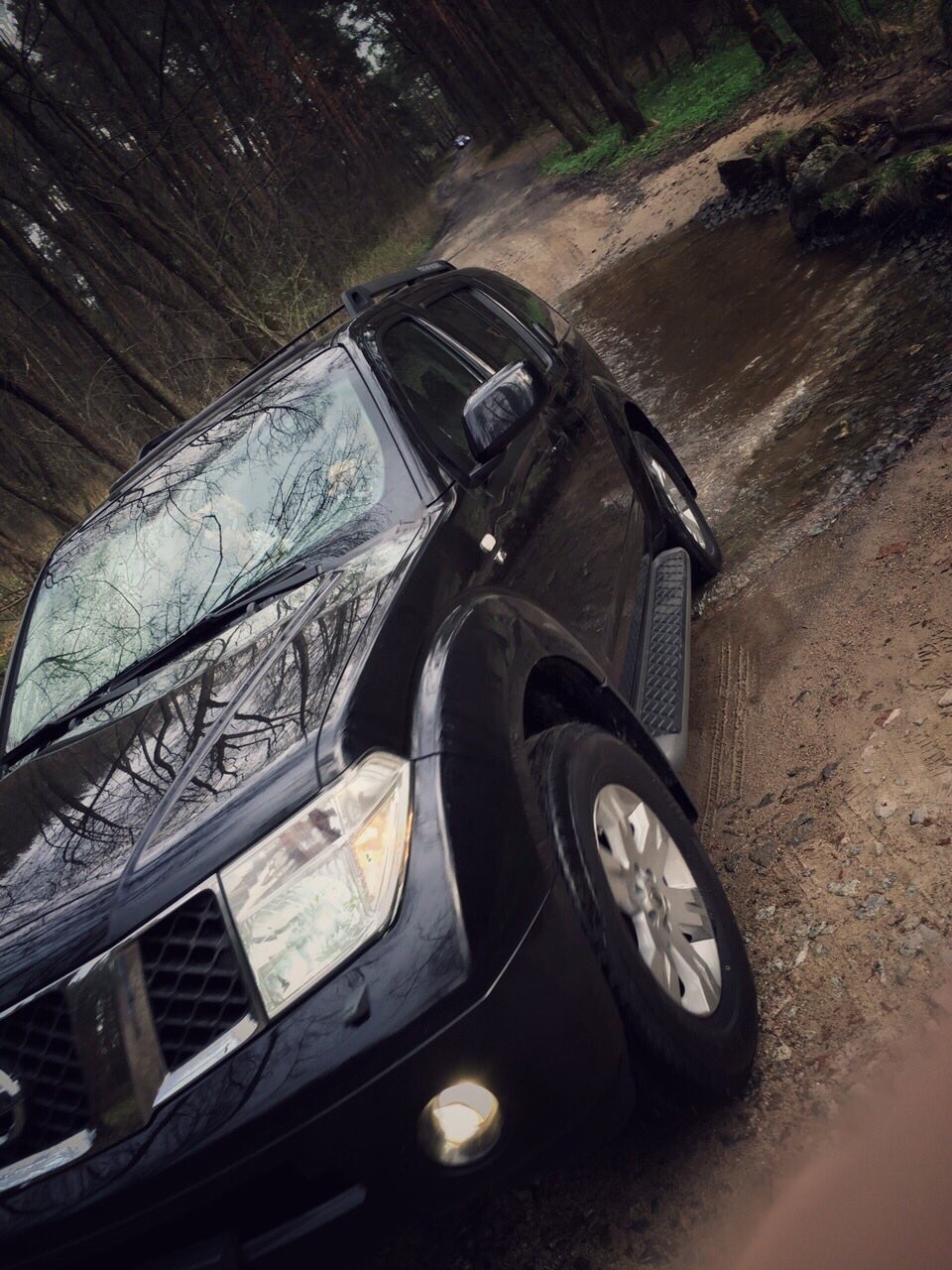 Кілька свіжих весняних фото) Pathfinder 4.0L 3