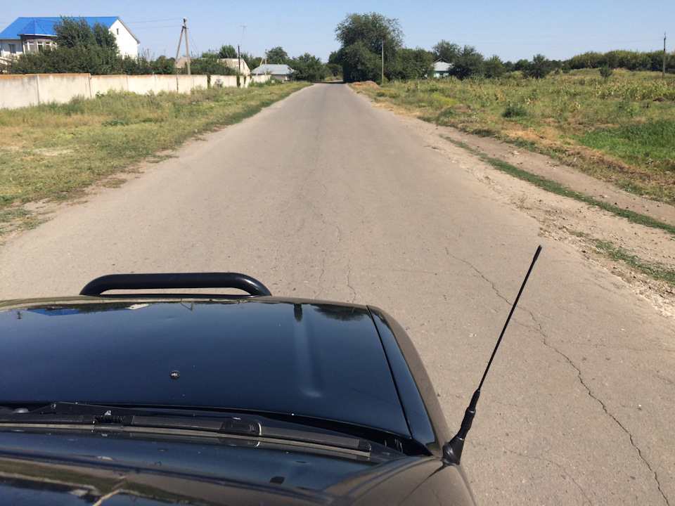 Нісан на Виборах! 4