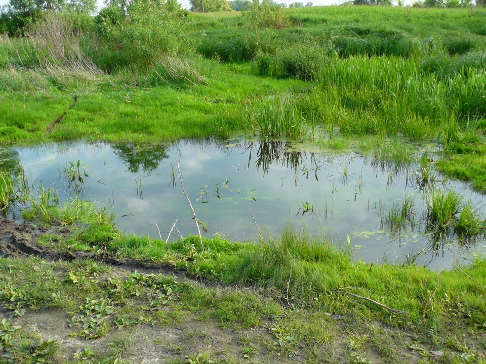 с.Поліське 2