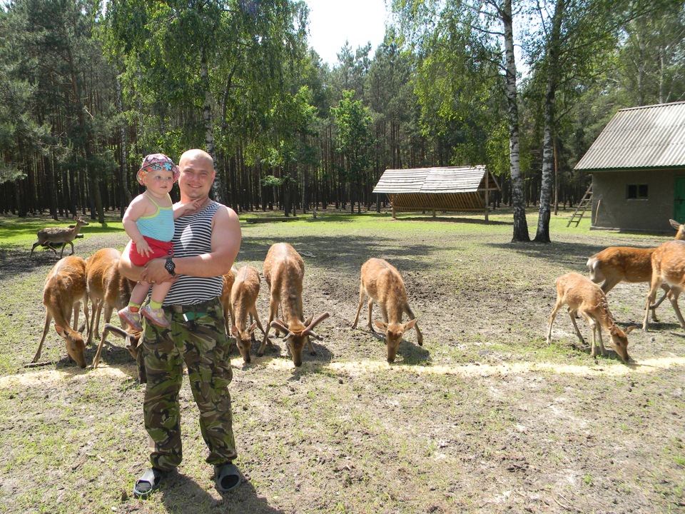 Трішки покаталися 2