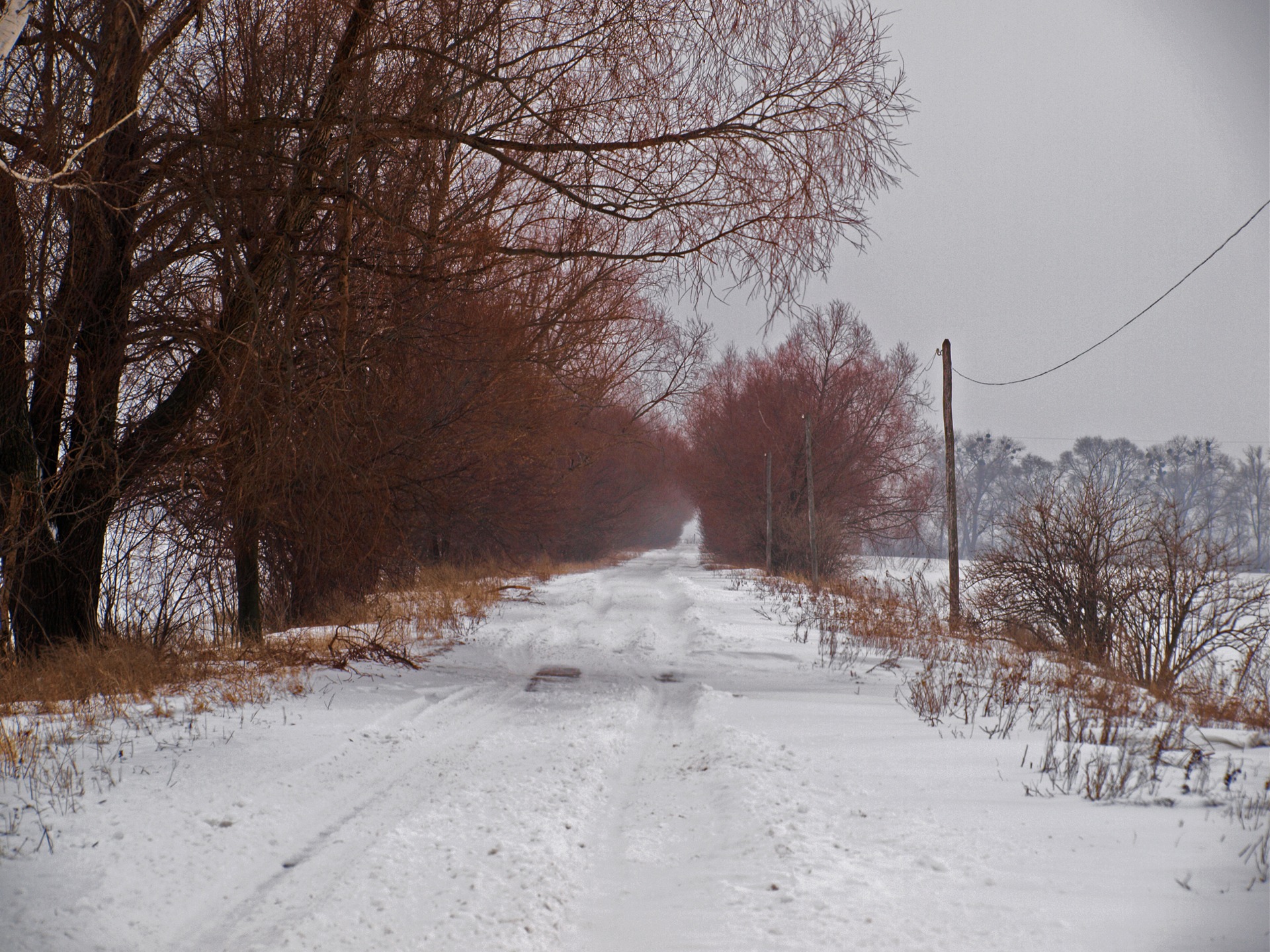 Покотушки 3