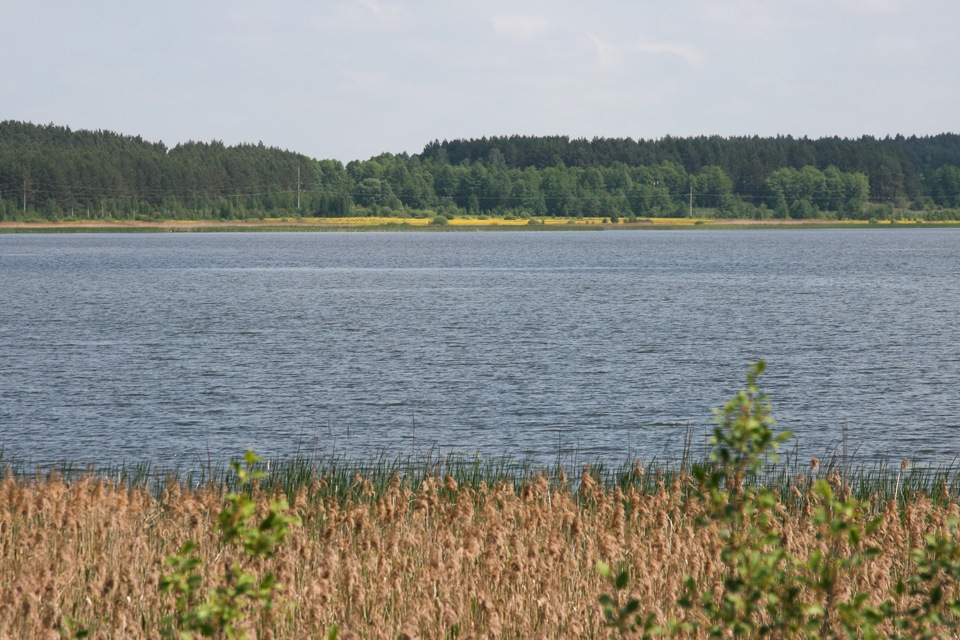 Малинське водосховище 4
