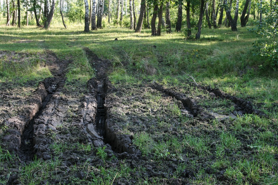 Нагодувати комарів 3