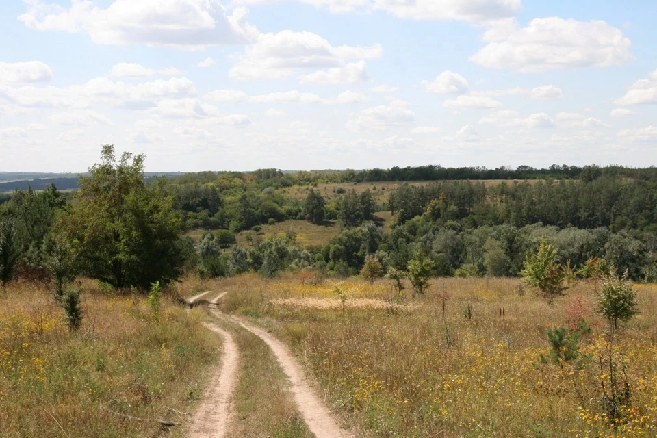 Варіація на тему Трахтемірова