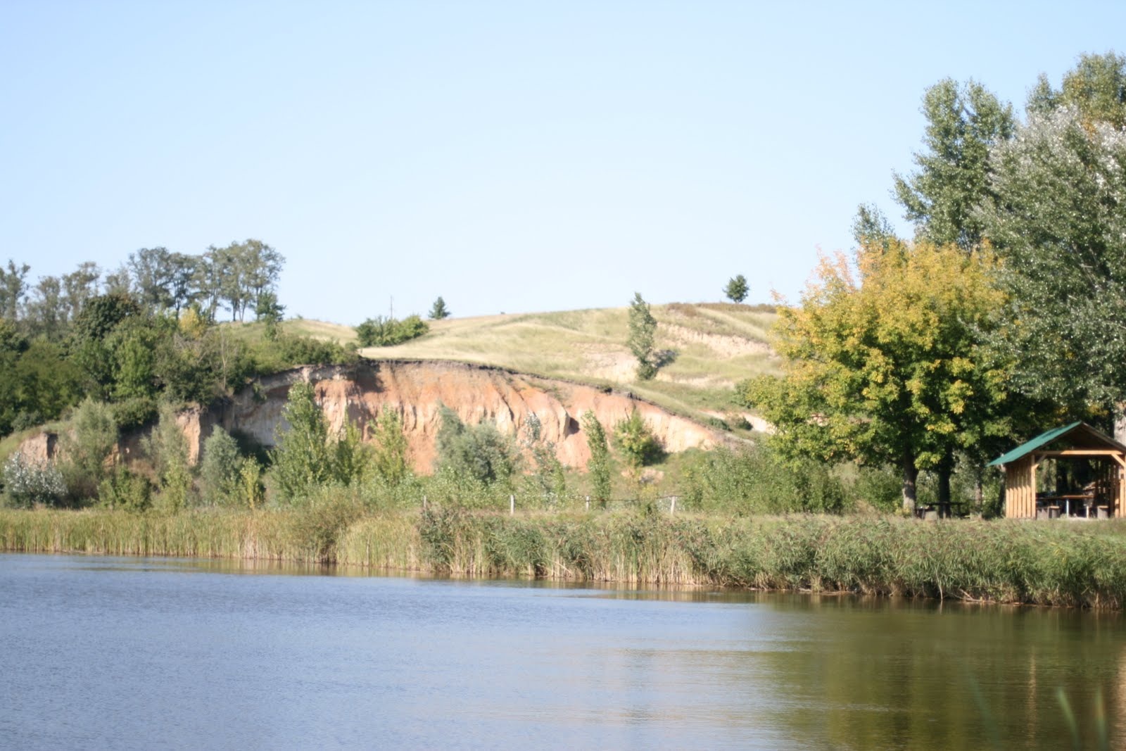 Вперед і вгору 4