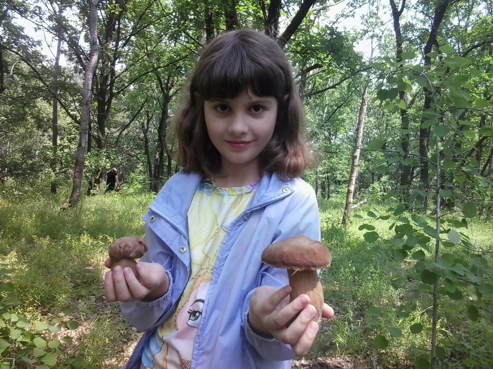 Перший виїзд за грибами. 5
