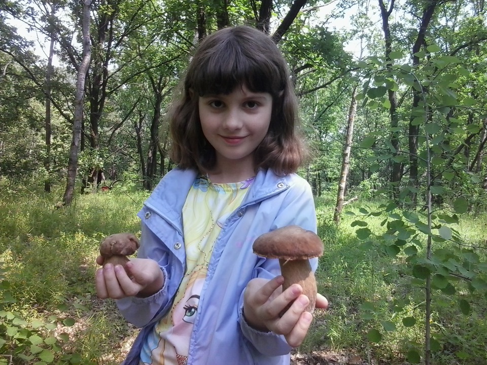 Перший виїзд за грибами. 4