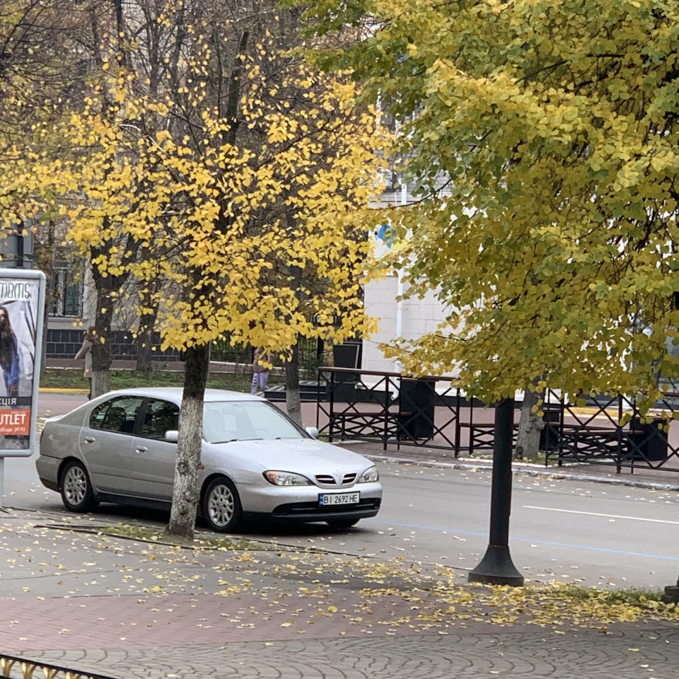 Обвис стеля/питання