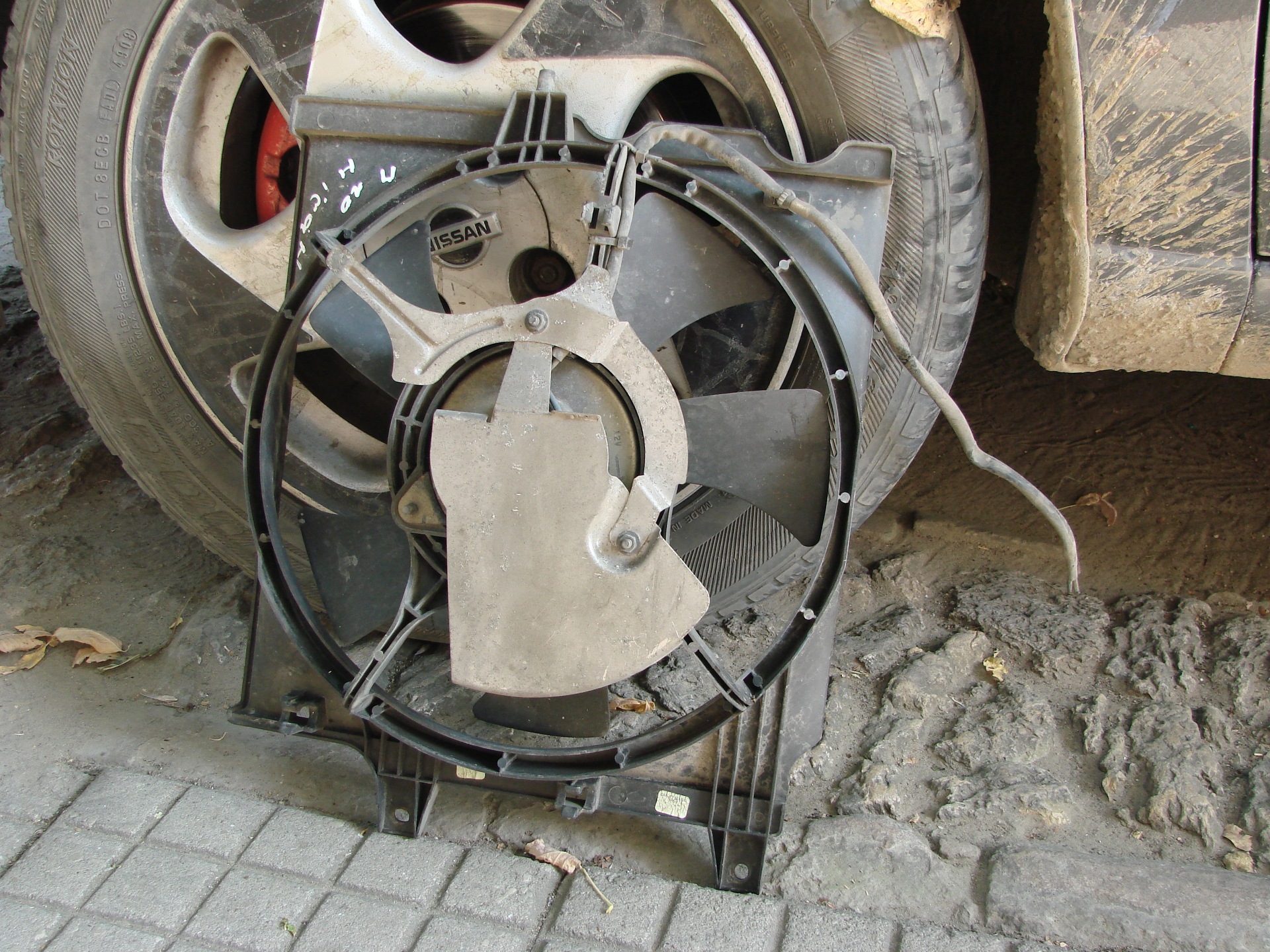 Кондер 4