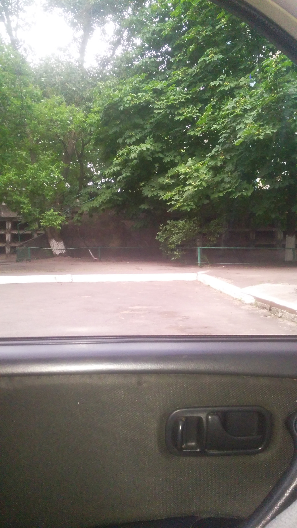 Тонування ластівки! 4